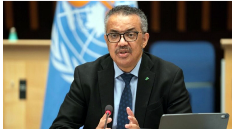 গাজার স্বাস্থ্য পরিস্থিতির উন্নতি প্রায় অসম্ভব: বিশ্ব স্বাস্থ্য সংস্থা