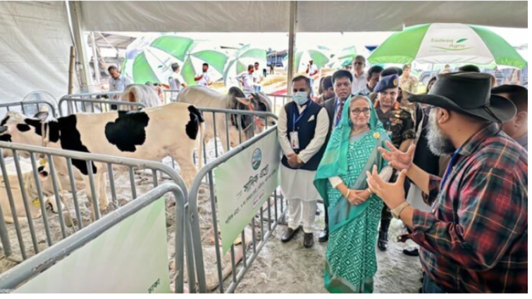 প্রাণিসম্পদ প্রদর্শনীতে ব্রাহামা জাতের গরু দেখলেন প্রধানমন্ত্রী