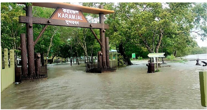 ঘূর্ণিঝড় রিমাল জলোচ্ছ্বাসে তলিয়ে গেছে সুন্দরবন