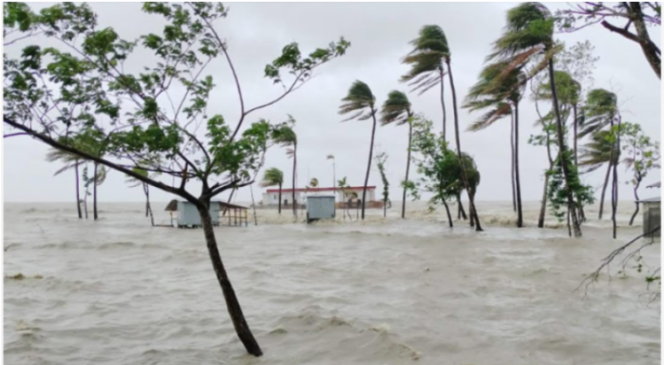 দেড়লাখ মানুষ পানিবন্দি, ভেসে গেছে হরিণসহ দুই হাজারের বেশি পশু