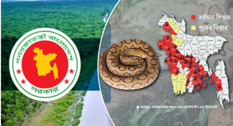 রাসেলস ভাইপার নিয়ে আতঙ্ক নয়, কামড়ে কী করণীয়?