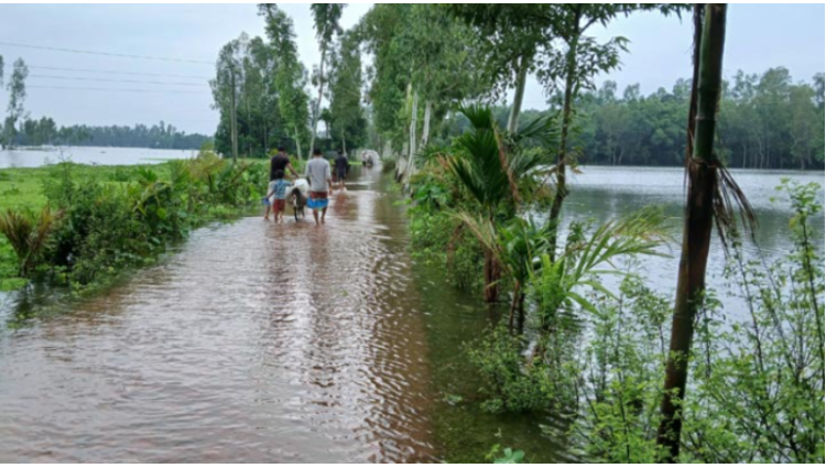 বিপৎসীমার ওপরে ব্রহ্মপুত্র ও ধরলার পানি, নিম্নাঞ্চল প্লাবিত