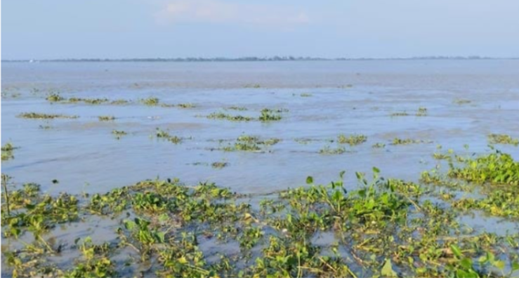 গাইবান্ধায় ৬২ সেন্টিমিটার ওপরে ব্রহ্মপুত্রের পানি, পানিবন্দি হাজারো মানুষ