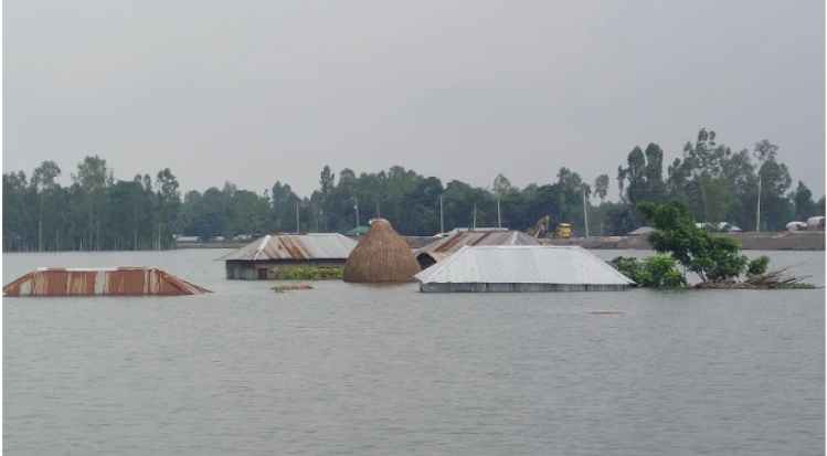 কুড়িগ্রামে নদ-নদীর পানি বিপদসীমার উপরে