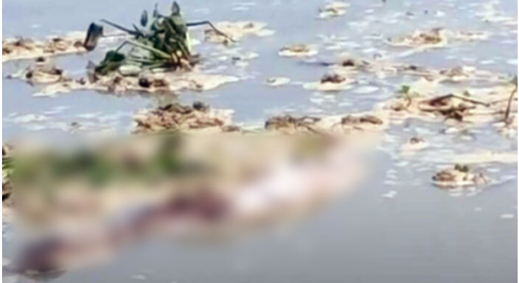 যমুনায় ভাসছে কাফনে মোড়ানো মরদেহ