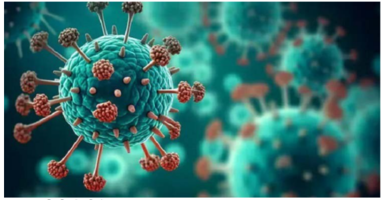 দেশে এইচএমপি ভাইরাস শনাক্ত