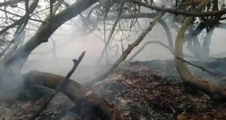 এবার সুন্দরবনের অন্য এলাকায় আগুন