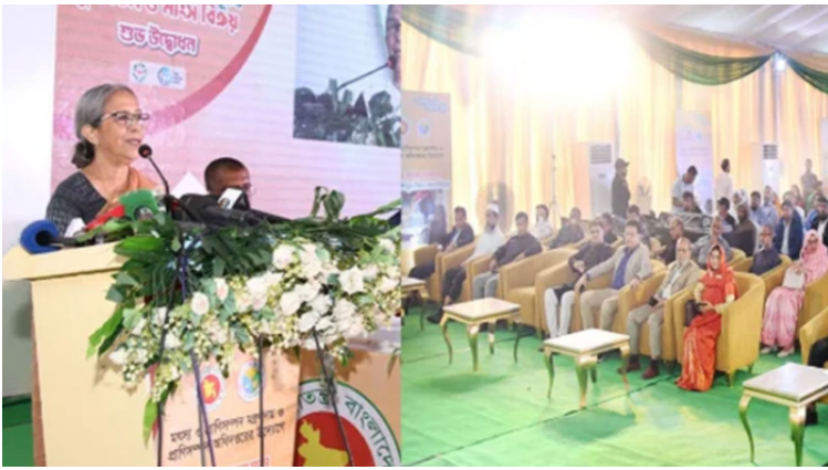 বাজারে যারা অহেতুক দাম বাড়ায়, তাদের ছাড় দেওয়া যাবে না