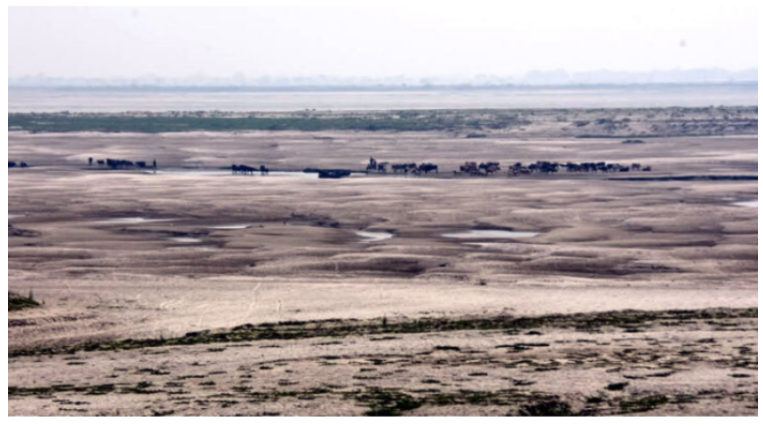 ফারাক্কার ৫০ বছরে পদ্মার পানি প্রবাহ কমেছে ৭১ ভাগ