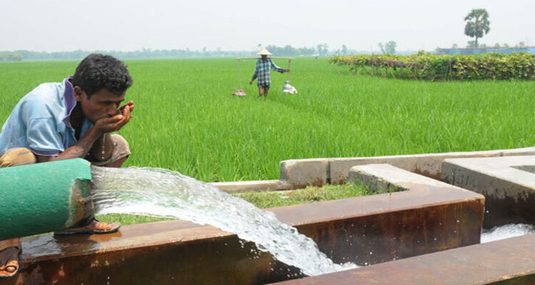 ১১ জেলায় বয়ে যাচ্ছে মৃদু তাপপ্রবাহ