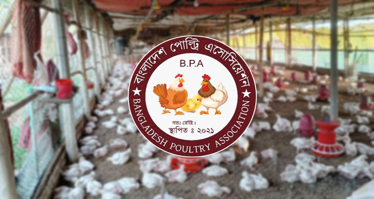 পয়লা মে থেকে দেশজুড়ে ডিম-মুরগির খামার বন্ধ ঘোষণা