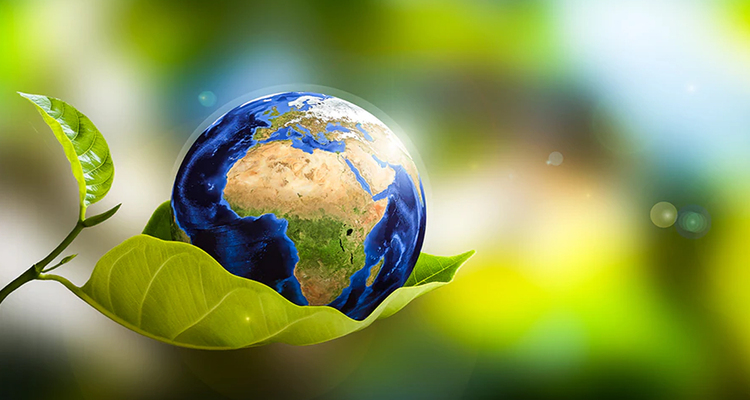 বিশ্ব ধরিত্রী দিবস আজ