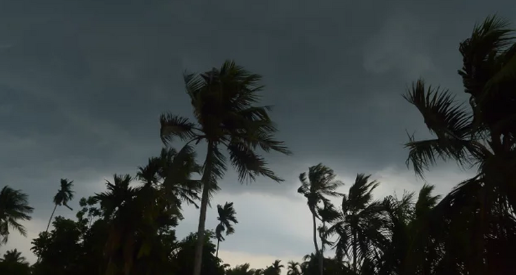 ঢাকাসহ ছয় বিভাগে বজ্রসহ বৃষ্টির পূর্বাভাস