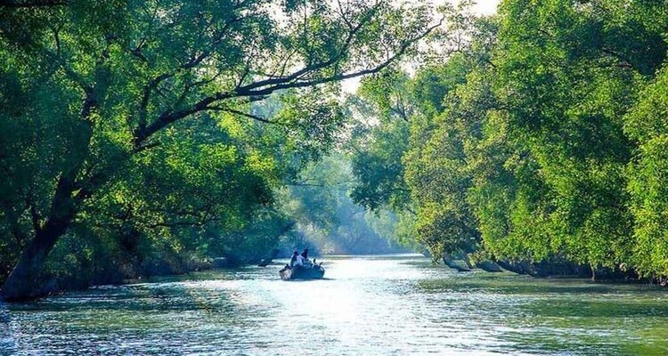 সুন্দরবনে আবারও বেড়েছে জলদস্যুদের দৌরাত্ম্য