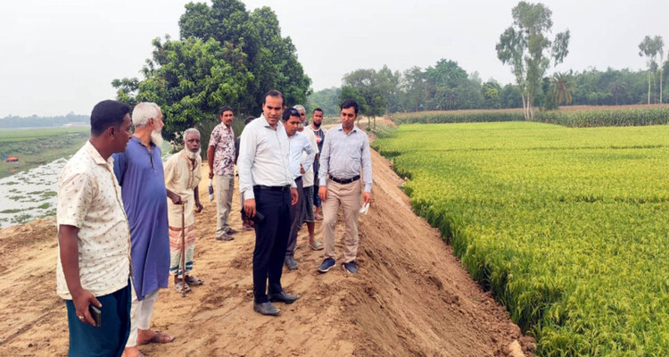নওগাঁয় ঝুঁকিপূর্ণ বেড়িবাঁধ অবশেষে সংস্কার শুরু