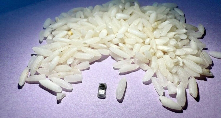 চালের চেয়েও ছোট পেসমেকার বানালেন মার্কিন বিজ্ঞানীরা