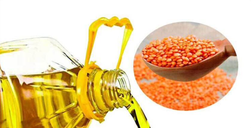 ১ কোটি ২০ লাখ লিটার সয়াবিন, ১০ হাজার টন মসুর ডাল কিনবে সরকার