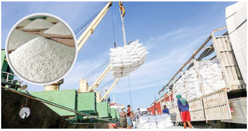 ১৩৩ প্রতিষ্ঠানকে সুগন্ধি চাল রপ্তানির অনুমতি