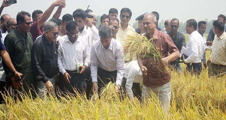 আমাদের সীমান্ত সম্পূর্ণ নিরাপদ, ভয়ের কোন কারণ নেই: স্বরাষ্ট্র উপদেষ্টা