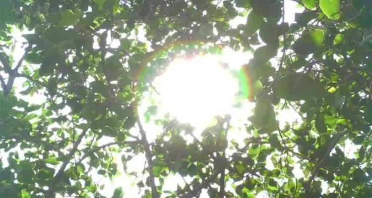 মৌসুমের সর্বোচ্চ তাপমাত্রা চুয়াডাঙ্গায়, বিপর্যস্ত জনজীবন