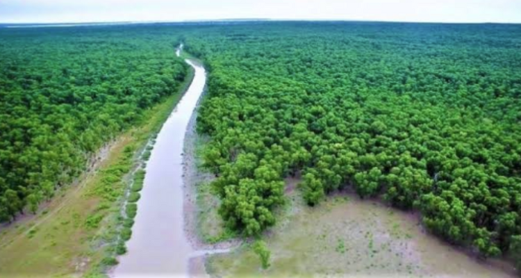 সুন্দরবনের ১০ কিলোমিটার এলাকায় শিল্পপ্রতিষ্ঠান স্থাপনে নিষেধাজ্ঞা