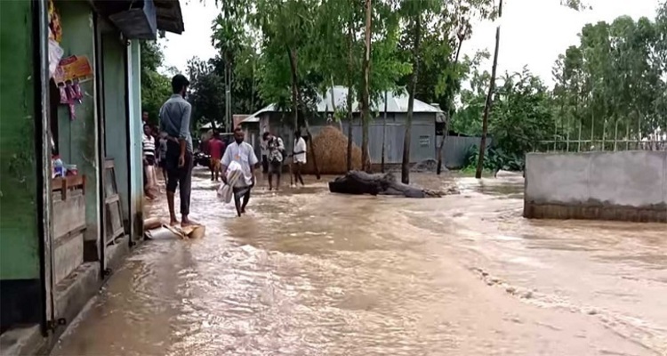 ভাসছে শেরপুর, পানি বিপদসীমার ১০৬ সে.মি. ওপরে