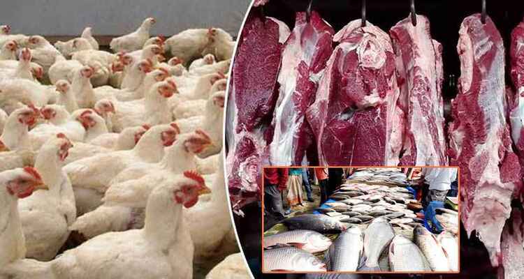 মাছ-গরুর দাম চড়া, মধ্যবিত্ত ঝুঁকছে ব্রয়লার মুরগির দিকে