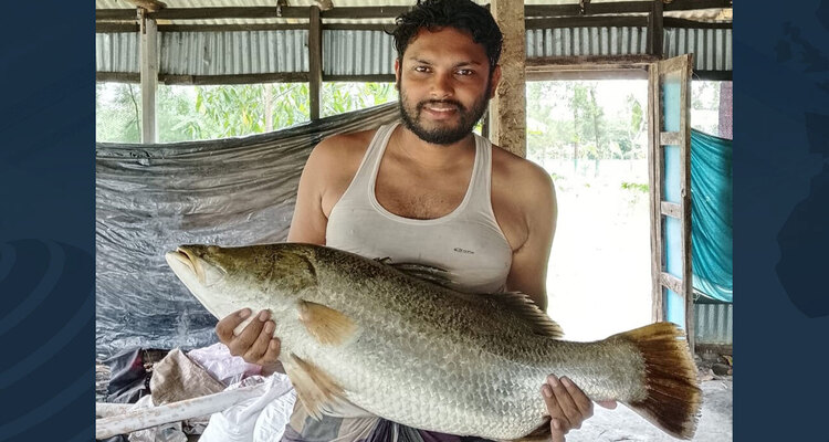 পুকুরে মিলল ১০ কেজির কোরাল, ৭ হাজারে বিক্রি