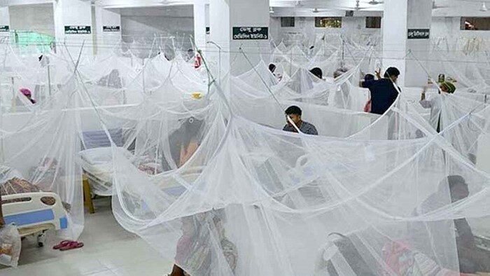 কুমিল্লায় ডেঙ্গুতে ৩ জনের মৃত্যু