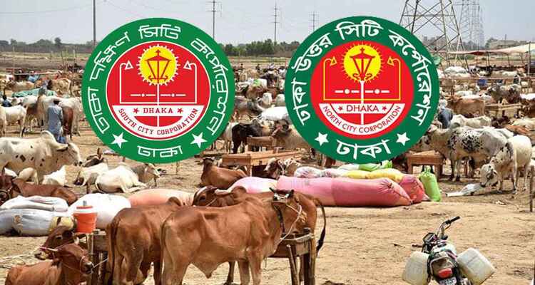 রাজধানীতে পশুর হাটের নিরাপত্তায় যেসব পদক্ষেপ নিয়েছে ডিএমপি