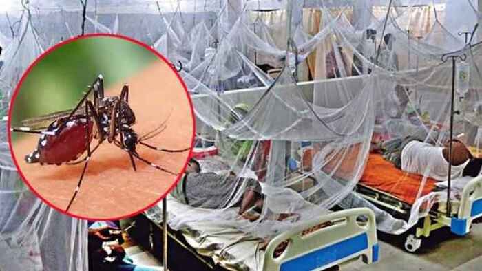 ডেঙ্গুতে আরও ২ জনের মৃত্যু, নতুন আক্রান্ত ১৯৫