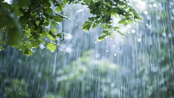 টানা পাঁচ দিন বৃষ্টি হতে পারে