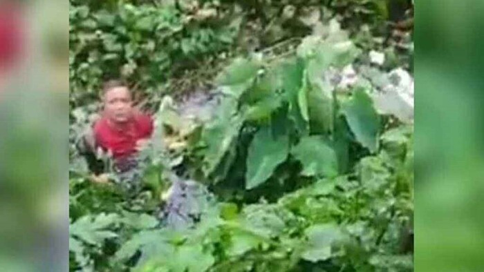 ছাত্র-জনতার ভয়ে ডোবায় ঝাঁপ দিলেন সাবেক মেয়র