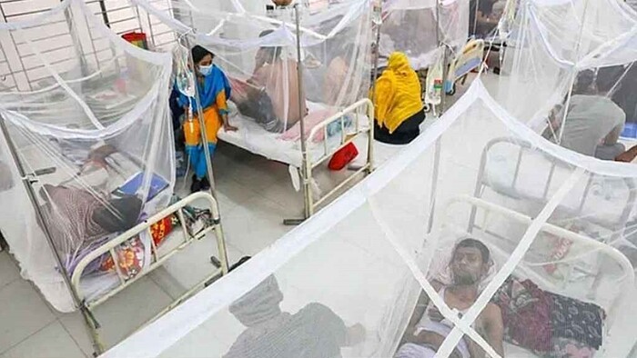 এক সপ্তাহে ডেঙ্গুতে ৯ জনের মৃত্যু, হাসপাতালে ২৩৯৪