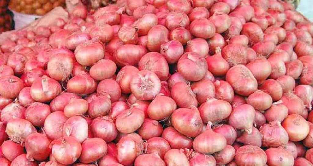 পেঁয়াজ নিয়ে সুখবর