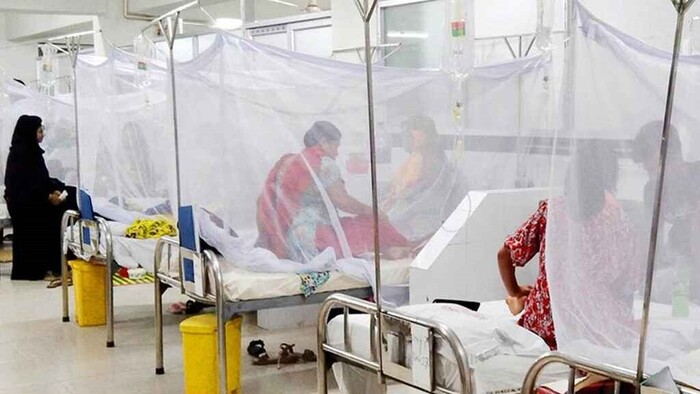 ডেঙ্গুতে আরও ৫ জনের মৃত্যু