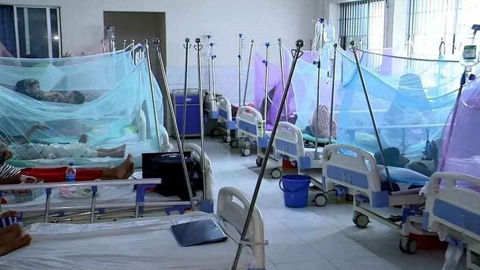 একদিনেই ডেঙ্গুতে প্রাণ গেল ৬ জনের