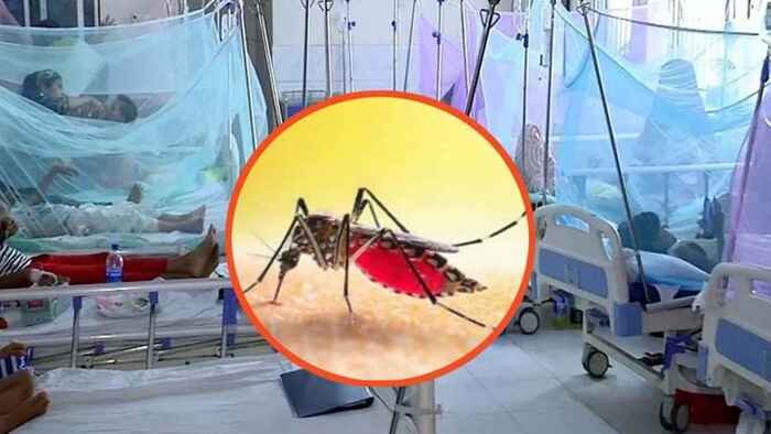 ডেঙ্গুতে প্রাণ গেল আরও ৪ জনের, হাসপাতালে ভর্তি ৭৫৮