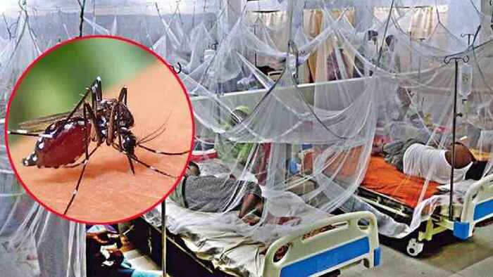ডেঙ্গুতে ২৪ ঘণ্টায় আরও ৩ জনের মৃত্যু