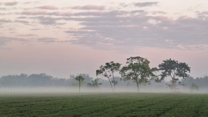 বাড়ছে শীতের দাপট, ১৩ ডিগ্রির ঘরে পঞ্চগড়ের তাপমাত্রা