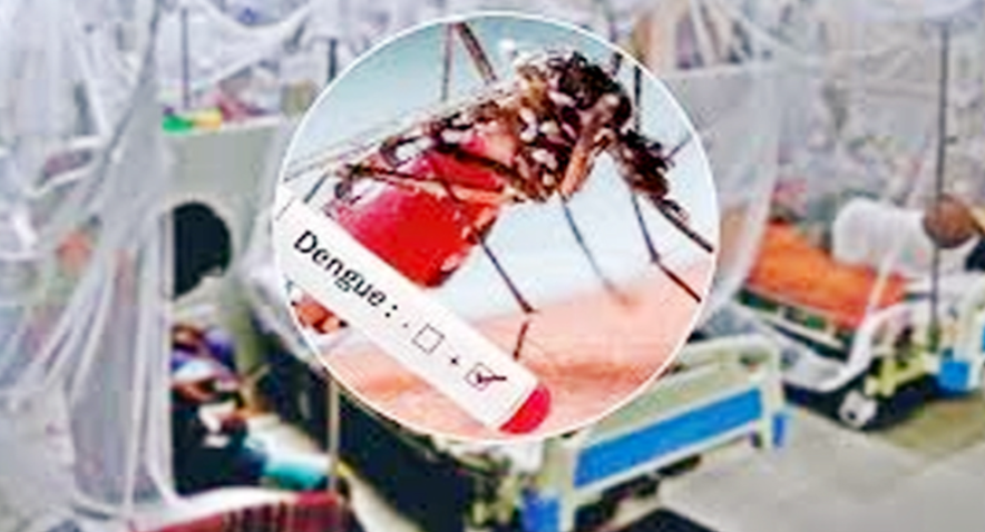 ডেঙ্গুতে আরও ৩ জনের মৃত্যু